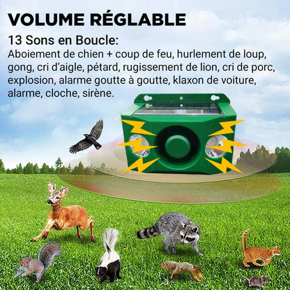💥Lampe d'avertissement solaire anti - bête avec volume élevé