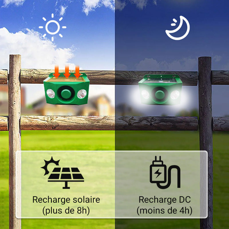 💥Lampe d'avertissement solaire anti - bête avec volume élevé