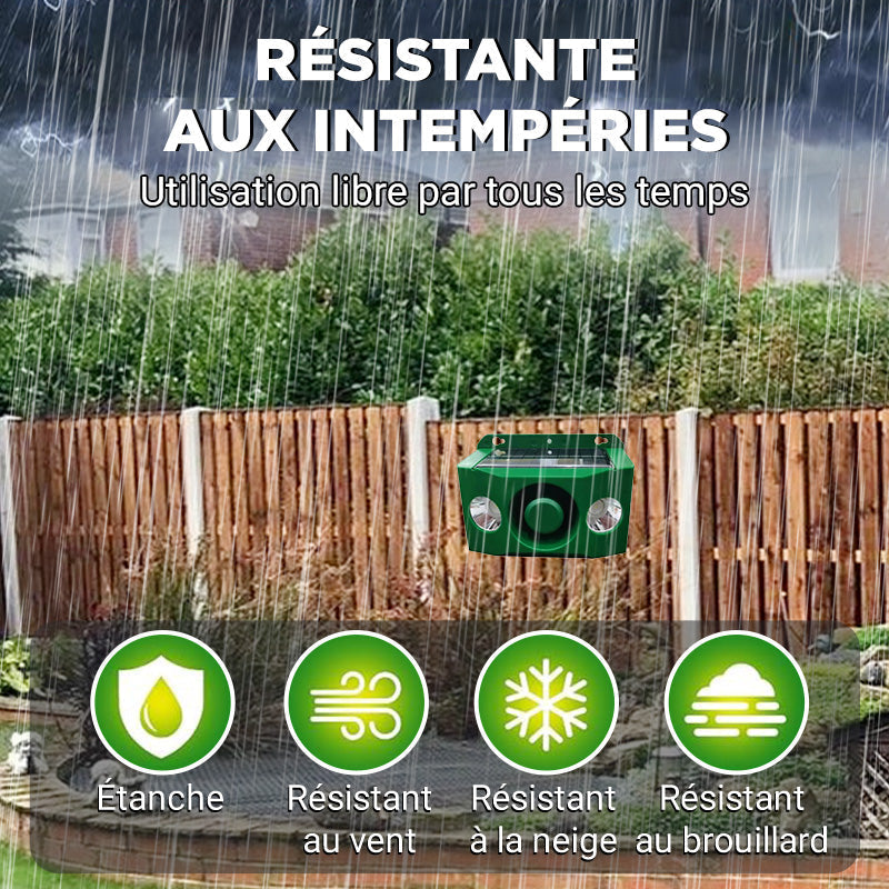💥Lampe d'avertissement solaire anti - bête avec volume élevé