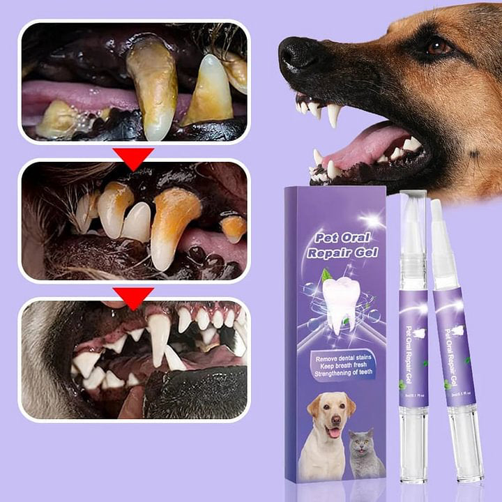 🥇BUY 1 GET 1 FREE🔥Pet Oral Repair Gel🐱🐶
