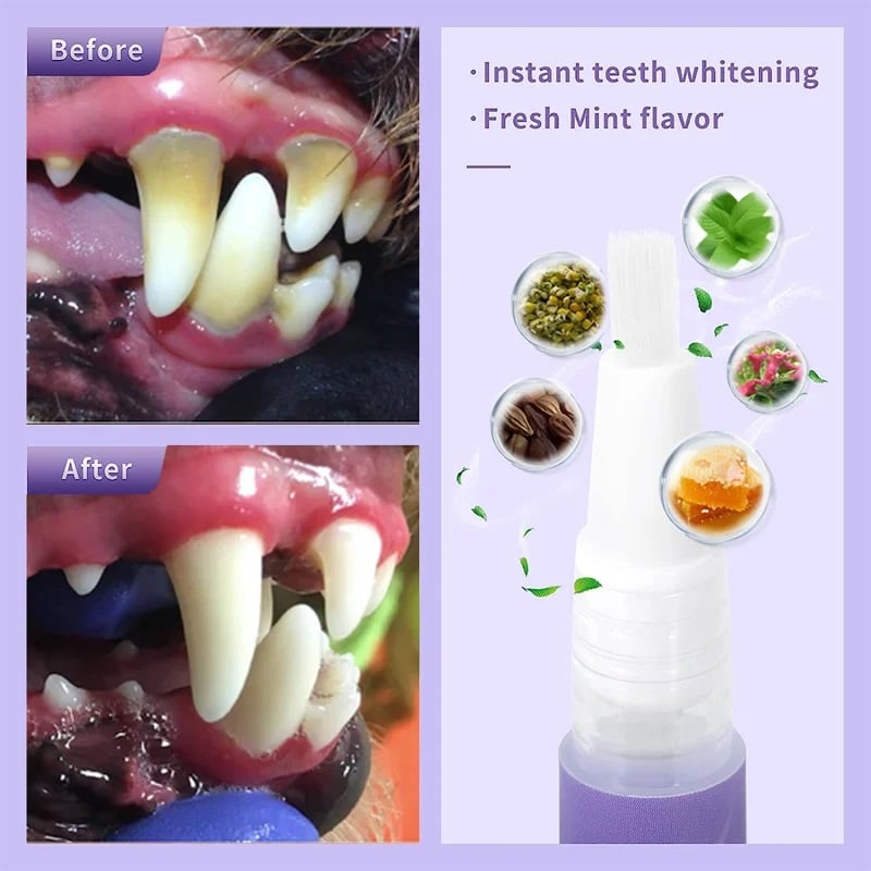 🥇BUY 1 GET 1 FREE🔥Pet Oral Repair Gel🐱🐶