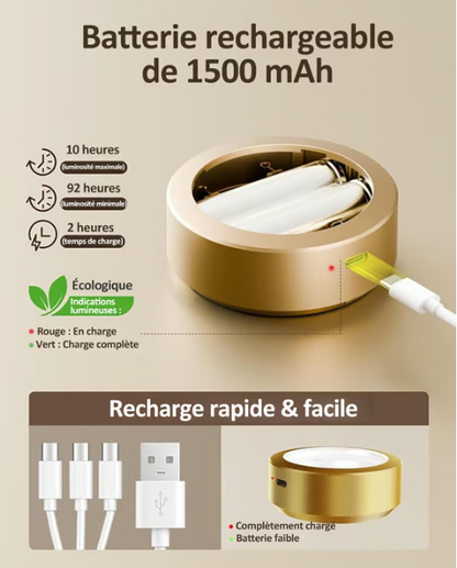 🏆Achetez 3, recevez 2 gratuits🎉Lampe Magnétique pour Tableaux avec 13 Modes d'Éclairage