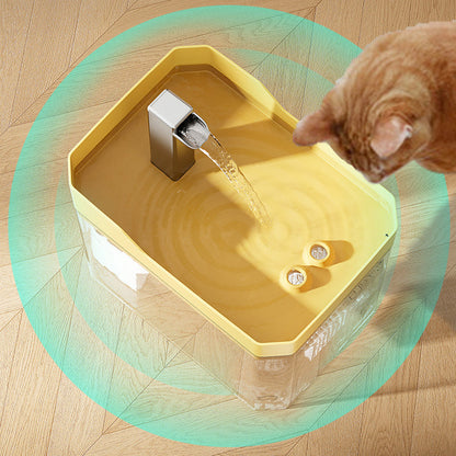 Distributeur d'eau automatique pour chat