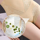 🎉🎉🎉buy 1️⃣ get 1️⃣ free 🥳 Women’s Butt-Lifting Tummy-Control High-Waist Panties❤️‍🔥