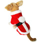 🎄Christmas Promotion 50% OFF🎅✨Autumn And Winter Cat Christmas Dog Clothes