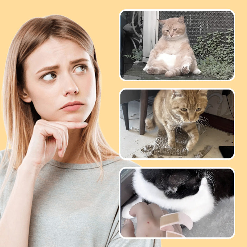 🐱🐶Jouet souris pour chats et chiens