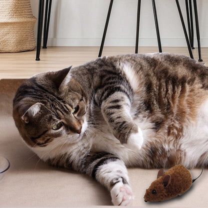 🐱🐶Jouet souris pour chats et chiens