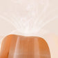 Vrouwen Hoog taille Ice Silk Ondergoed met Tummy-control Hip-lifting