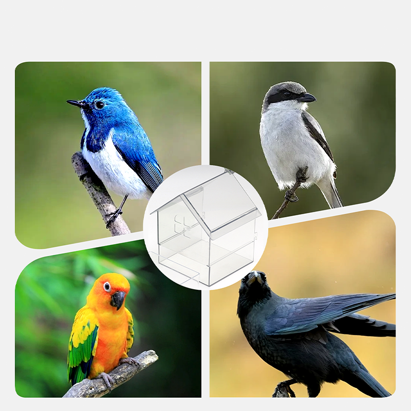 🎁HOT SALE(50% OFF)🔥Pull-Out External Parrot Feeder